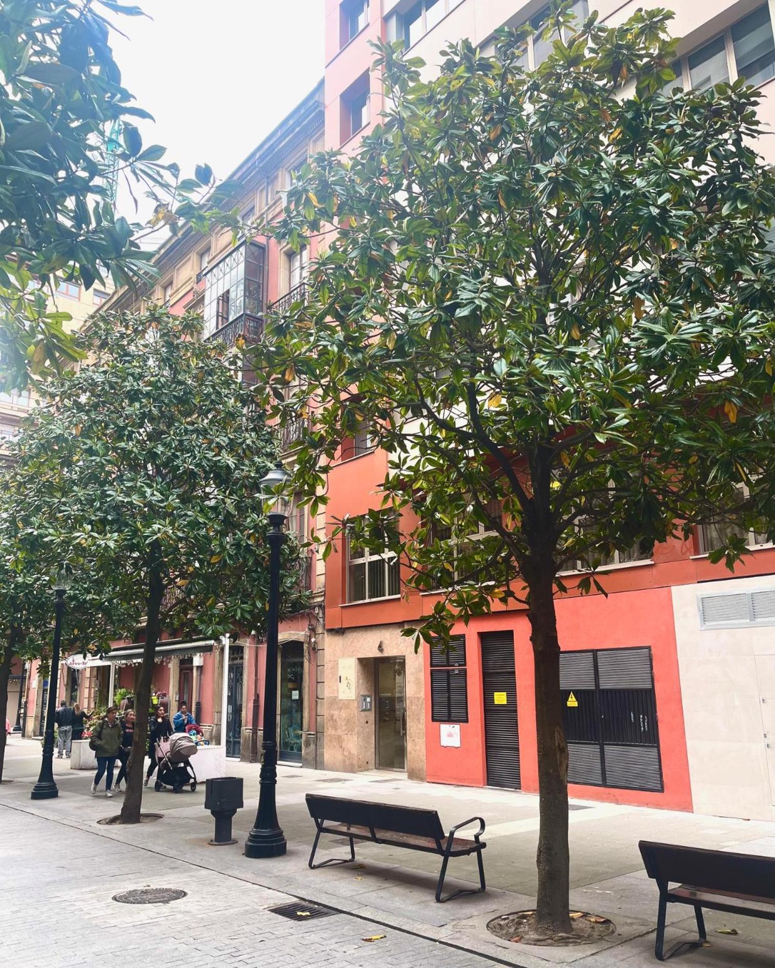 El Mirador Del Centro Διαμέρισμα Χιχόν Εξωτερικό φωτογραφία