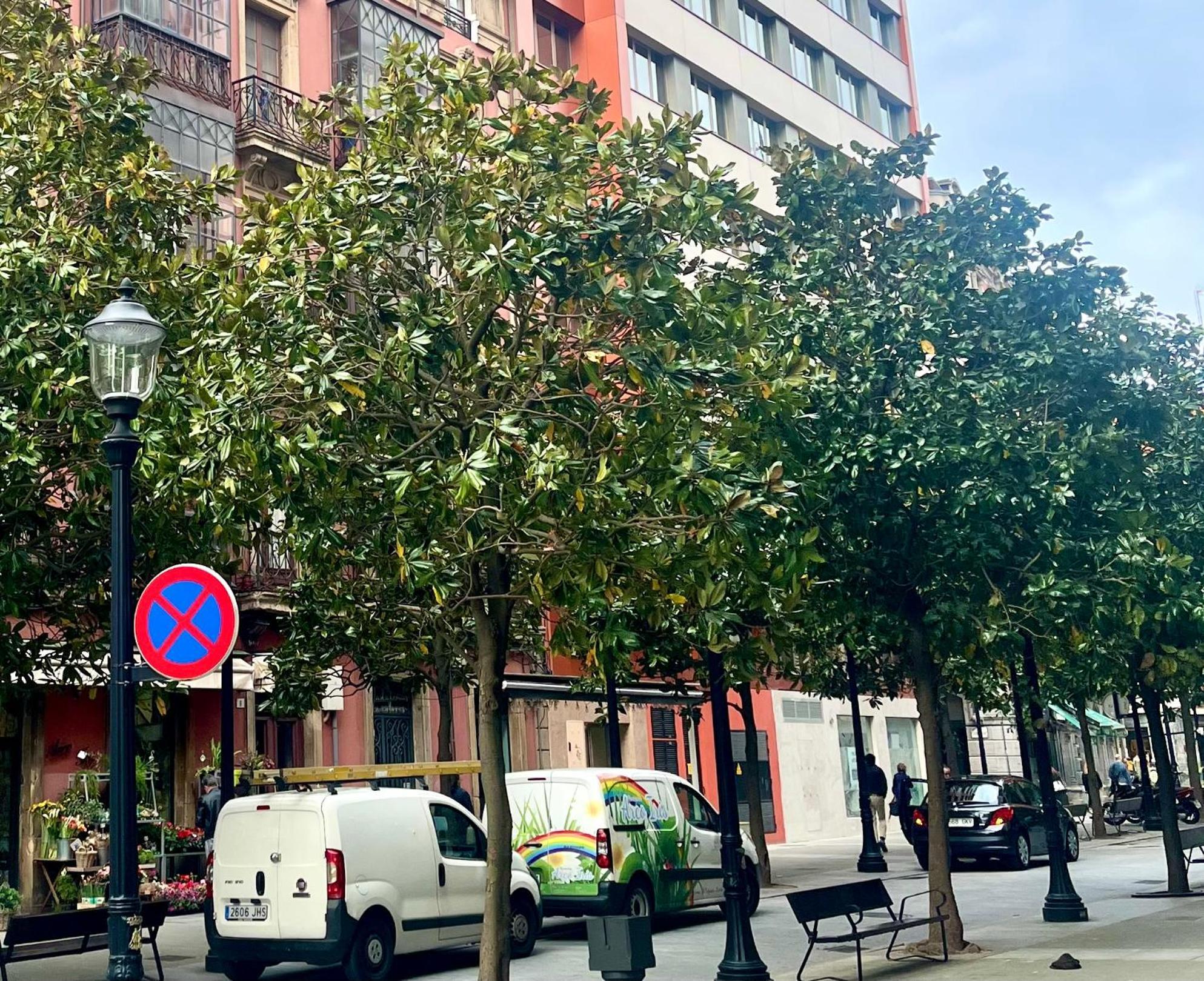 El Mirador Del Centro Διαμέρισμα Χιχόν Εξωτερικό φωτογραφία